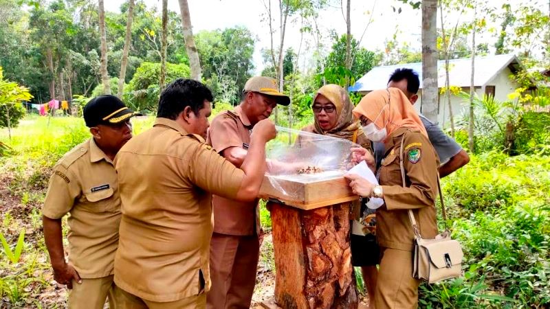 Kadis Nakertranskop Ukm Lakukan Monev Dan Pembinaan Di Tumpung Laung I