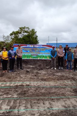 Polsek Timpah Tanam Jagung Serentak di Desa Tumbang Randang, Dukung Program Ketahanan Pangan Nasional