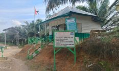 TERUNGKAP! Perkebunan Kelapa Sawit PT BBR Ternyata Belum Terdaftar di ISPO