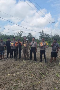 Kapolsek Sepang Pimpin Langkah Nyata Ketahanan Pangan, Gandeng Warga Tanam Jagung Hibrida Dukung Program Presiden