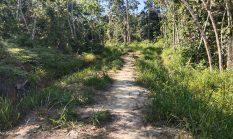 Bau Masalah di Balik Cetak Sawah? Tanah Warga Digarap untuk Jalan, Tim Fasilitator Akan Turun Tangan