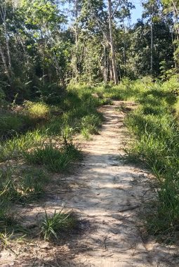 Bau Masalah di Balik Cetak Sawah? Tanah Warga Digarap untuk Jalan, Tim Fasilitator Akan Turun Tangan