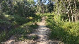 remosaic: false;touch: (-1.0, -1.0);sceneMode: 2;cct_value: 0;AI_Scene: (-1, -1);aec_lux: 0.0;aec_lux_index: 0;HdrStatus: auto;albedo:  ;confidence:  ;motionLevel: -1;weatherinfo: null;temperature: 40;