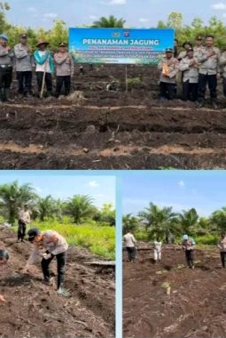 Kapolsek Pahandut Pimpin Langsung Penanaman Jagung di Bukit Tunggal, Wujud Nyata Dukungan Ketahanan Pangan