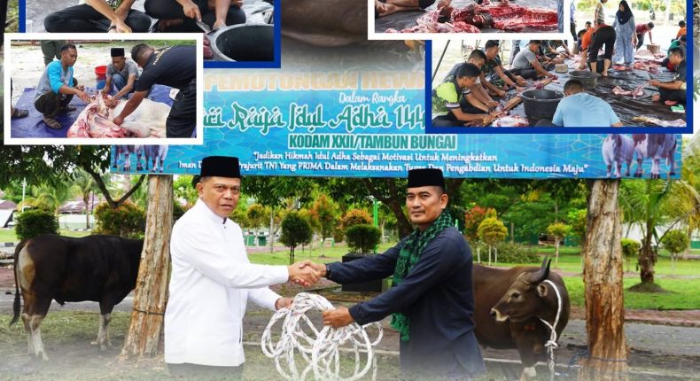 foto slider headline