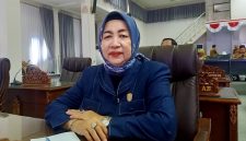 Rujana Anggraini, Anggota DPRD Kabupaten Barito Utara. (fhoto:ist/red-lintaskalimantan.co) 