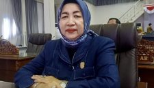 Rujana Anggraini, Anggota DPRD Kabupaten Barito Utara dari Partai Demokrat