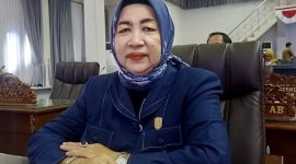 Rujana Anggraini, Anggota DPRD Kabupaten Barito Utara dari Partai Demokrat