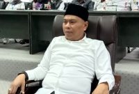 Anggota DPRD Kabupaten Barito Utara, Bina Husada dari Partai Amanat Nasional. (fhoto:ist/*/red-lintaskalimantan) 