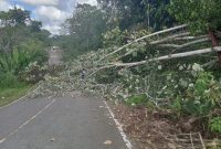 Kegiatan 11 Desa melaksanakan gontong-royong pembersihan lajur untuk pembangunan tiang induk dan jaringan listrik PLN di Jalan Negara Trans Muara Teweh - Kaltim tepat nya di wilayah Kecamatan Gunung Purey, Minggu 2 Agustus 2026. (*/fhoto:ist/pemdes/red-lintaskalimantan)
