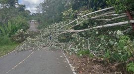 Kegiatan 11 Desa  melaksanakan gontong-royong pembersihan lajur untuk pembangunan tiang induk dan jaringan listrik PLN di Jalan Negara Trans Muara Teweh - Kaltim tepat nya di wilayah Kecamatan Gunung Purey, Minggu 2 Agustus 2026. (*/fhoto:ist/pemdes/red-lintaskalimantan) 
